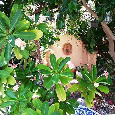 B&B Le Terrazze Капо-д'Орландо Экстерьер фото